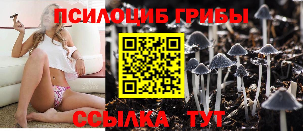 Галлюциногенные грибы прущие грибы  Вход с VPN  купить закладку  Тольятти 